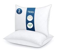 TESQ Oreiller 50x70 cm Lot de 2, Qualité Hôtelière de Luxe Oreiller Lot de 2 Oreillers Confort Moelleux, Respirant et Hypoallergénique Certifié Oeko-TEX, Adapté à Toutes Les Positions de Sommeil