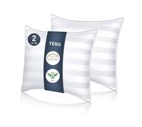 TESQ Oreiller 60x60 cm Lot de 2 Oreillers Confort Moelleux, Qualité Hôtelière de Luxe, Respirant et Hypoallergénique, Idéal pour Dormeurs sur Le Côté, Le Dos et Le Ventre, Lavable
