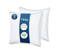 TESQ Oreiller 60x60 cm Lot de 2, Qualité Hôtelière de Luxe Oreiller Lot de 2 Oreillers Confort Moelleux, Respirant et Hypoallergénique Certifié Oeko-TEX, Adapté à Toutes Les Positions de Sommeil