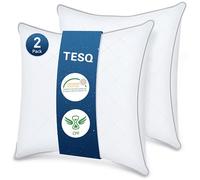 TESQ Oreiller 65x65 cm Lot de 2, Qualité Hôtelière de Luxe Oreiller Lot de 2 Oreillers Confort Moelleux, Respirant et Hypoallergénique Certifié Oeko-TEX, Adapté à Toutes Les Positions de Sommeil