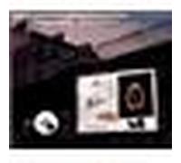 Tess / Le Locataire – Roman Polanski – Universal Billard