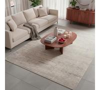 TESSO LIVING Tapis Salon Moderne Gris Clair 120 X 170 cm - Tapis de Chambre Doux à Poils Courts - Design et Confort