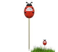 Testeur d'humidité du sol pour, testeur d'humidité des | Sonde de test de sol numérique précise | Compteur d'eau précis pour en pot à fonction unique, sonde de test