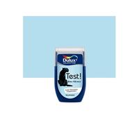 Testeur Peinture Dulux Valentine Bleu Rêveur 0,03L