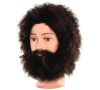 Tête Apprentissage Barbe Gustav