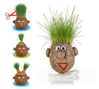 Tête d’herbe à faire pousser - Monsieur gazon, plante insolite, grasshead cheveux naturel - Décoration amusante et ludique, expérience jardinage - Petit modèle 5 cm sans support