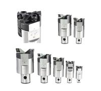 Tête d'alésage Fraise à aléser réglable à double tranchant RBH 19-25 25-33 40-55 68-92 mm Fraises à double tranchant avec poignée d'alésage Tête d'alésage d'ébauche LBK1(RBH25-33)