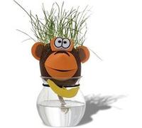 Tête d'animal cheveux d'herbe qui pousse singe Multi G