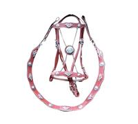 Tête de bride en cuir sécurisée, sangle de traction confortable pour cheval avec housse en métal, équipement d'entraînement équestre pour les amateurs (rouge)