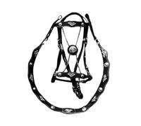 Tête de bride en cuir sécurisée, sangle de traction confortable pour cheval avec housse en métal, équipement d'entraînement équestre pour les amateurs (noir)