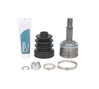 Tête de cardan PASCAL G10538PC
