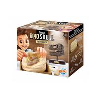 Buki - 2130 - Museum dino skull - t-rex