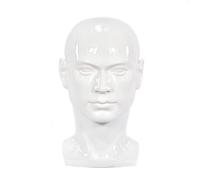 Tête de Mannequin en Plastique, tête d'homme, avec Perruque, réaliste, pour présentation de Chapeaux, Lunettes de Soleil... (30LB)