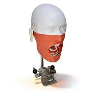 Tête de mannequin pour dentition dentaire Typodont Modèle,Simulateur de mannequin dentaire fantôme avec dents amovibles réglable à 360 degrés pour les écoles dentaires(B)