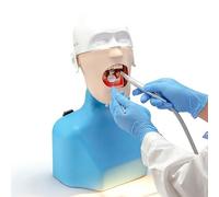 Tête de mannequin pour dentition dentaire Typodont Modèle, Simulateur de mannequin dentaire pour la pratique dentaire, avec 28 dents détachables et rotatives à 180 degrés