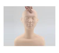 Tête de modèle Professionnel Head Mold Head Mannequin avec épaules et bustes pour la Gestion de la Peau Beauty Massage F