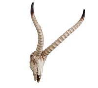 Tête de mort de buffle géante Longhorn Art Western Cowboy pour Halloween, dernier rodéo, décoration murale (D)
