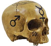 Tête de Mort Sorcellerie Crâne - Figurine Décorative