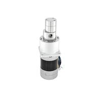Tête de pompe à engrenages à entraînement micro magnétique en acier inoxydable