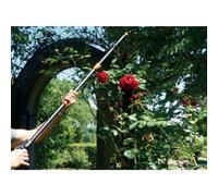 Tête de rechange pour Cavalier à la rose