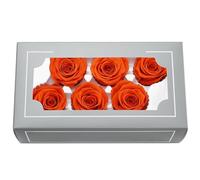 Tête de rose éternelle naturelle préservée de 5 à 6 cm, rose immortelle dure 3 à 5 ans, pour la fête des mères, la Saint-Valentin, un anniversaire, un mariage, une décoration de fête, un essentiel