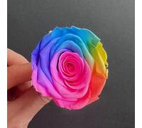 Tête de rose préservée - Grande fleur séchée éternelle - Pour décoration de mariage, bricolage, fête, bureau, maison (arc-en-ciel)