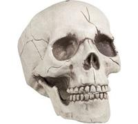 Décoration Crâne Squelette