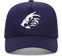 Tête de tigre brodé casquette de baseball sports de plein air net cap bleu Multicolore