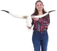 Tête de vache déco HWC-D32, tête de taureau taureau tête d'animal Longhorn trophée, polyrésine 103x43x11cm