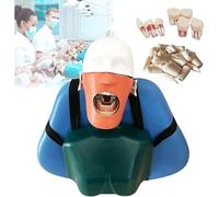 Tête D'enseignement Dentaire, Modèle De Tête D'enseignement De La Pratique De L'orthodontie Rotation À 360° A
