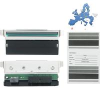 Tête d'impression, résolution de 300 DPI, compatible avec les modèles ZT410/ZT411, durée de vie de l'impression de 18,6 miles, vitesse d'impression rapide, installation facile