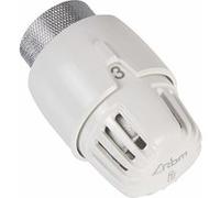 Rbm - Tête thermostatique TL10 - RBM : 5900000