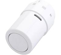 Thermostat de radiateur RAX 013G6070 mécanique 8 à 28 °C 1 pc(s) - Danfoss