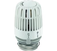 Tête thermostatique K blanche/anneau sécurité 6020-00.500