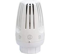 Tête thermostatique liquide R469H-M30 GIACOMINI