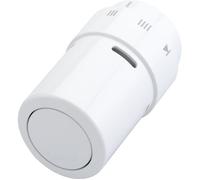 RAX Danfoss 013G6070 Thermostat de radiateur mécanique 8 à 28 °C