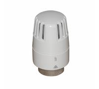 Tête thermostatique - TL10 - RBM : 42390000