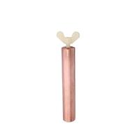 TETEOM 2/1 PC ioniseur de Piscine à énergie Solaire, purificateur cuivre Argent ION algues équipement de Nettoyage piscines extérieures Baignoire purificateur d'eau(1PC Copper Rod)