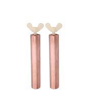 TETEOM 2/1 PC ioniseur de Piscine à énergie Solaire, purificateur cuivre Argent ION algues équipement de Nettoyage piscines extérieures Baignoire purificateur d'eau(2PC Copper Rod)