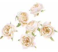 Têtes de fleurs de camélia crème 6pcs.