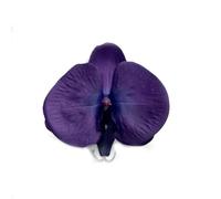 Têtes de fleurs d'orchidées artificielles, 30 pièces, 3.9 pouces, fausses rouges en soie Cymbidium, toucher réel, for Bouquet mariage, centres table(Dark Purple)