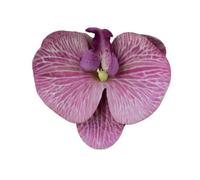 Têtes de fleurs d'orchidées artificielles, 40 pièces, 3.9 pouces, fausses en vrac for centres table mariage, décoration maison DIY(Light Purple)