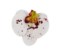 Têtes de fleurs d'orchidées artificielles, 40 pièces, 3.9 pouces, fausses en vrac for centres table mariage, décoration maison DIY(White Red)