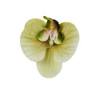 Têtes de fleurs d'orchidées artificielles, 40 pièces, 3.9 pouces, fausses en vrac for centres table mariage, décoration maison DIY(Light Green)