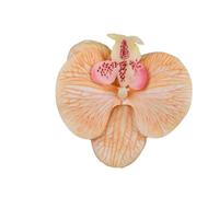 Têtes de fleurs d'orchidées artificielles, 40 pièces, 3.9 pouces, fausses en vrac for centres table mariage, décoration maison DIY(Champagne)