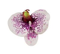 Têtes de fleurs d'orchidées artificielles, 40 pièces, 3.9 pouces, fausses en vrac for centres table mariage, décoration maison DIY(Purple White)