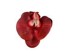Têtes de fleurs d'orchidées artificielles, 40 pièces, 3.9 pouces, fausses en vrac for centres table mariage, décoration maison DIY(Red)