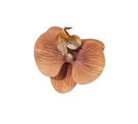 Têtes de fleurs d'orchidées artificielles, 50 pièces, 3.1 pouces, fausses en soie rouge, for Bouquet mariage, décor artisanal DIY(Brown)