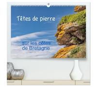 Têtes de pierre sur les côtes de Bretagne (Calendrier mural 2026 DIN A2 vertical) calendrier de bureau: créatures mystérieuses dans les rochers des côtes bretonnes