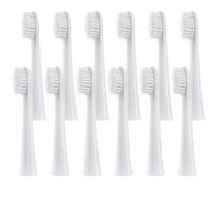 Têtes de rechange pour brosse à dents électrique Panasonic DM71/DM81/DM711/DM712/DM61/DML1/DM31/PDM7B/MDB3A (Blanc)